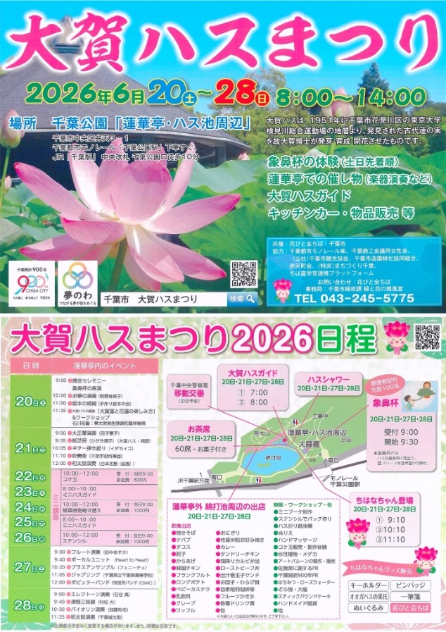 大賀ハスまつり2026／千葉公園の画像