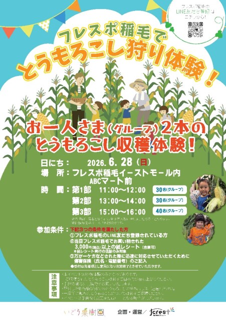 フレスポ稲毛 とうもろこし収穫体験の画像