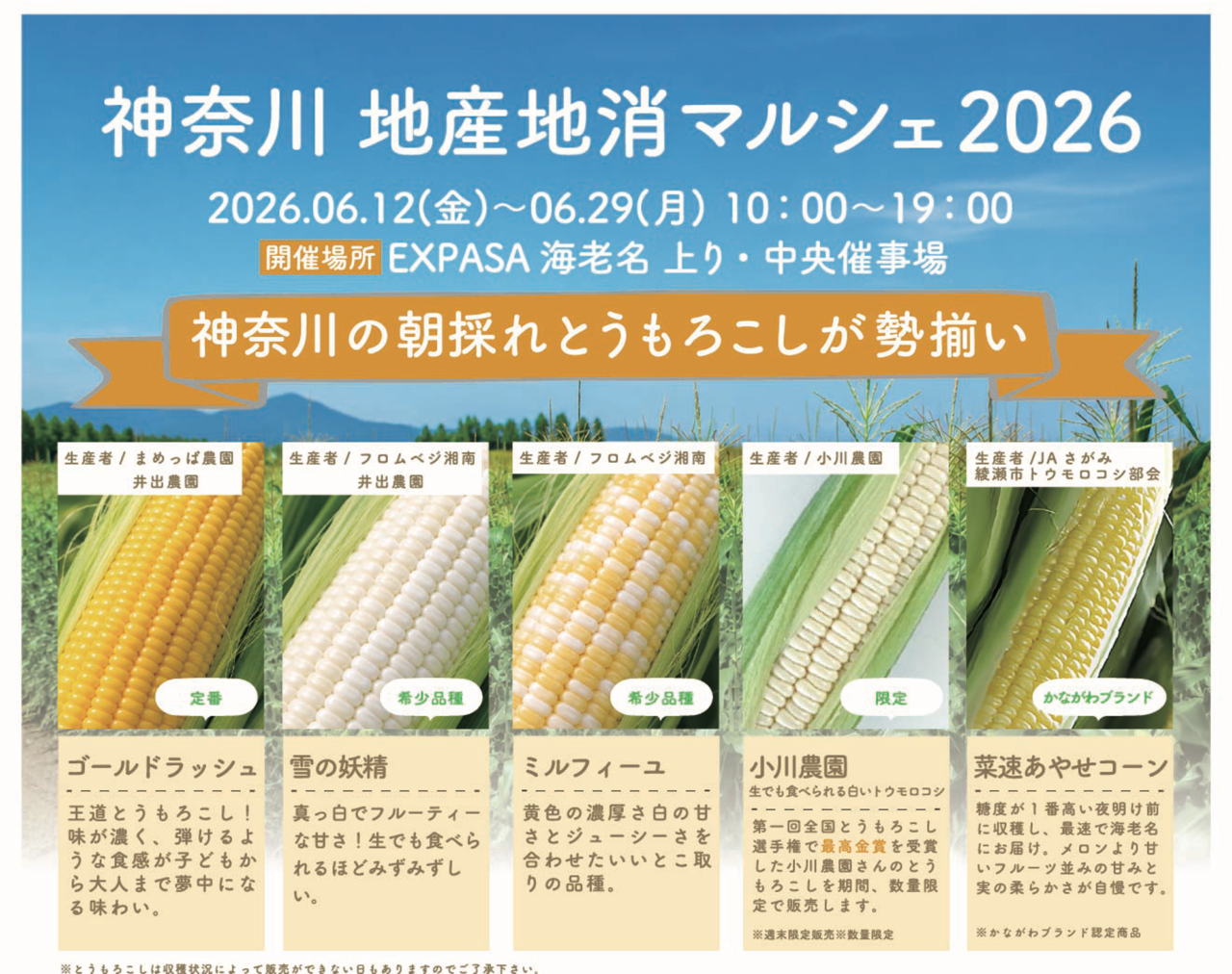 神奈川 地産地消マルシェ2026の画像