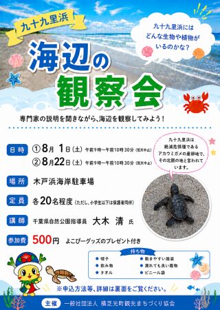 九十九里浜　海辺の観察会の画像