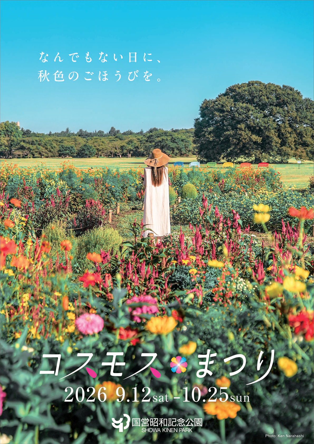 国営昭和記念公園 コスモスまつり2026